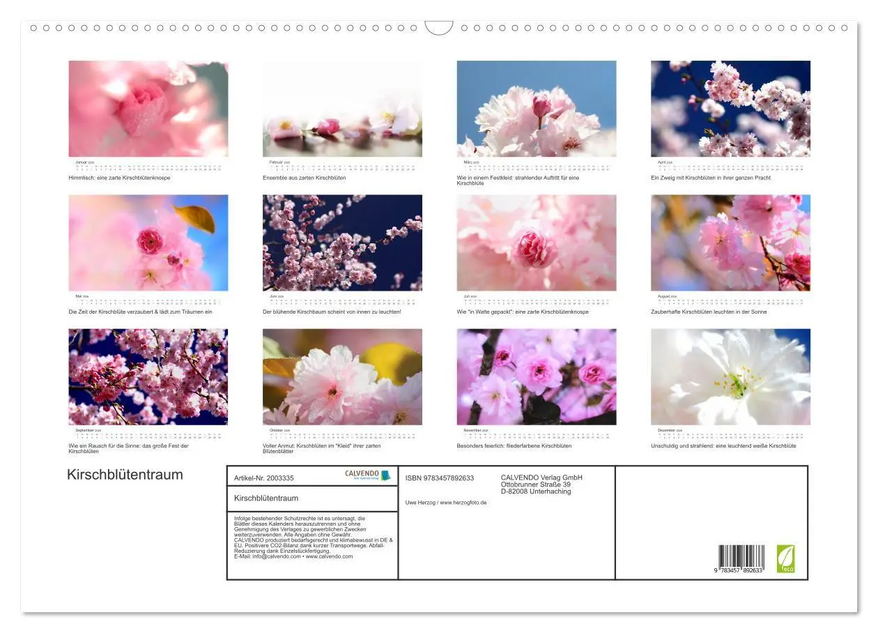 Bild: 9783457892633 | Kirschblütentraum (Wandkalender 2026 DIN A2 quer), CALVENDO...