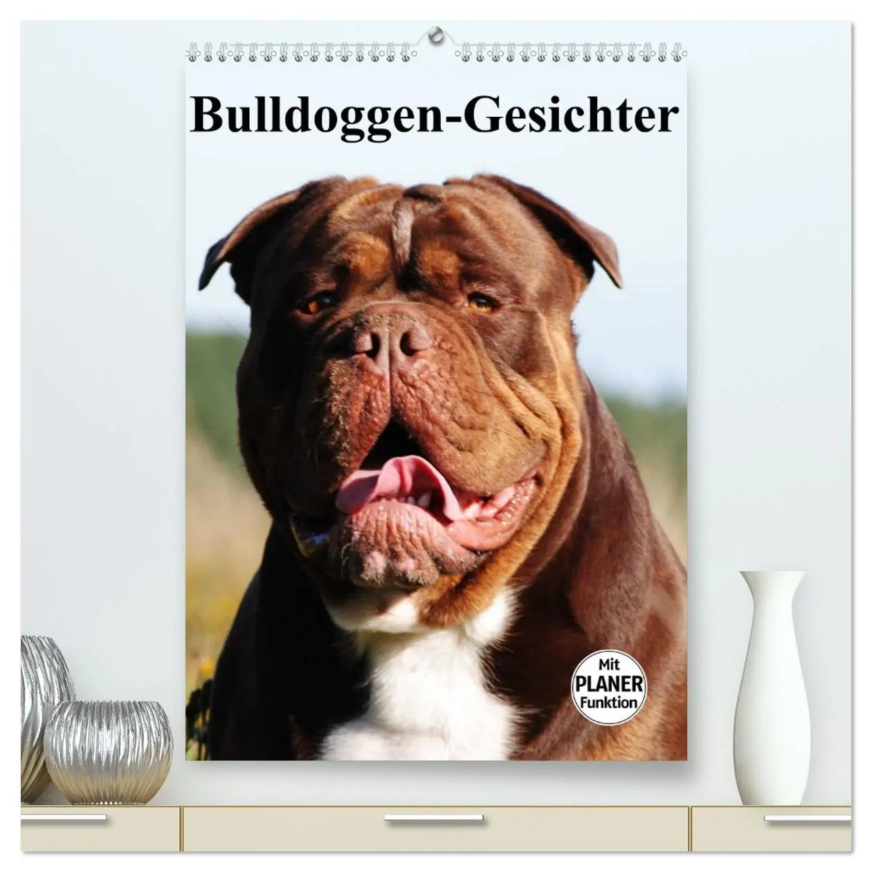 Cover: 9783516432633 | Bulldoggen-Gesichter (hochwertiger Premium Wandkalender 2026 DIN A2...