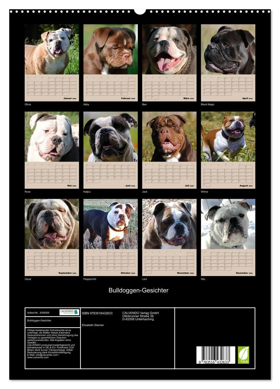 Bild: 9783516432633 | Bulldoggen-Gesichter (hochwertiger Premium Wandkalender 2026 DIN A2...
