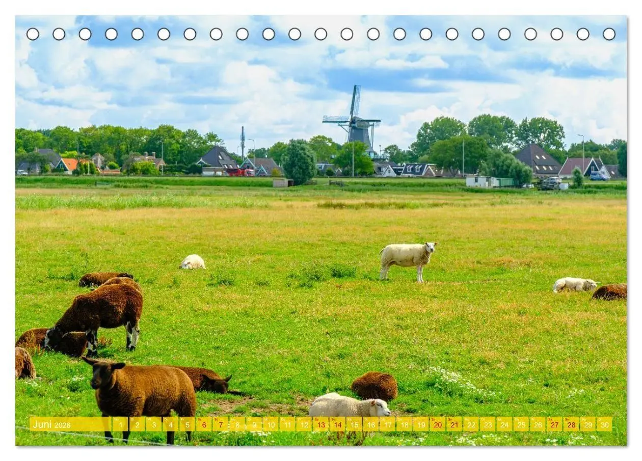 Bild: 9783516672633 | Feeling Holland (Tischkalender 2026 DIN A5 quer), CALVENDO...