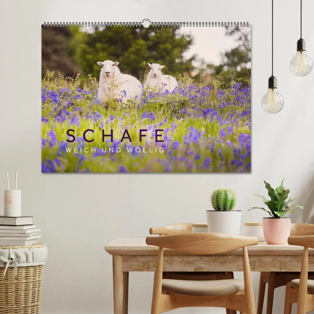 Bild: 9783569762633 | Schafe - Weich und wollig (Wandkalender 2027 DIN A2 quer), CALVENDO...