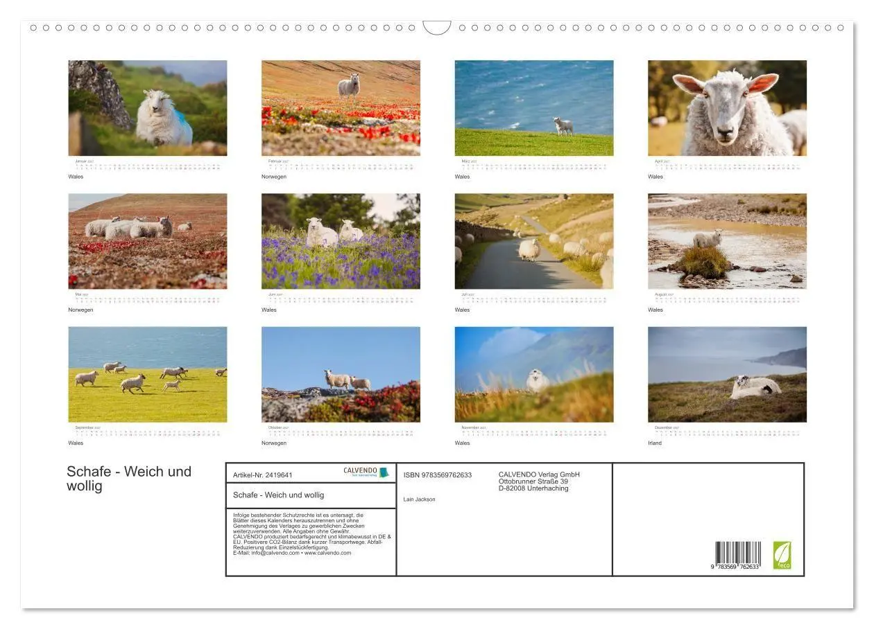 Bild: 9783569762633 | Schafe - Weich und wollig (Wandkalender 2027 DIN A2 quer), CALVENDO...
