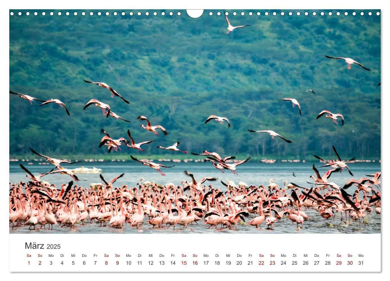 Bild: 9783435002733 | Kenia - Eine Safari durch unberührte Natur. (Wandkalender 2025 DIN...