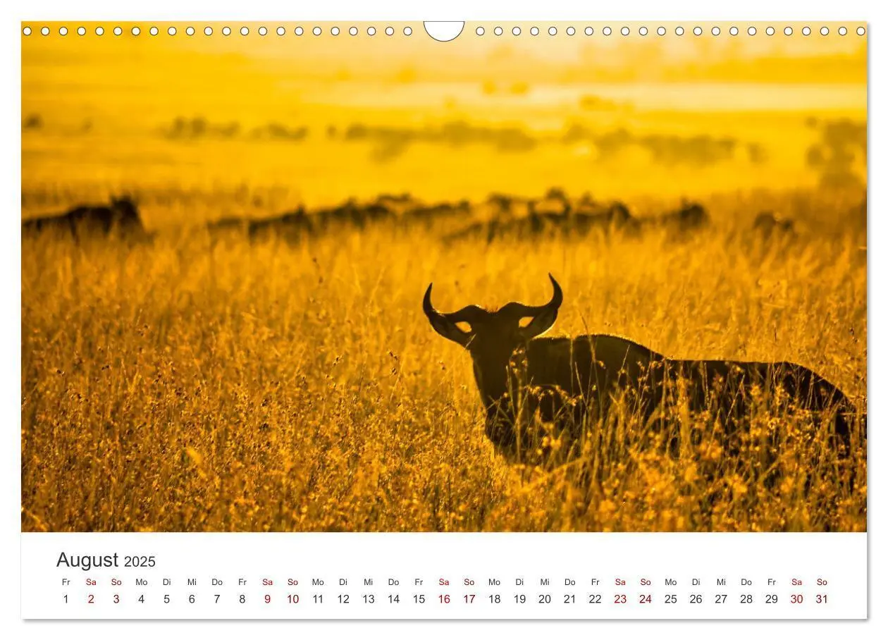 Bild: 9783435002733 | Kenia - Eine Safari durch unberührte Natur. (Wandkalender 2025 DIN...