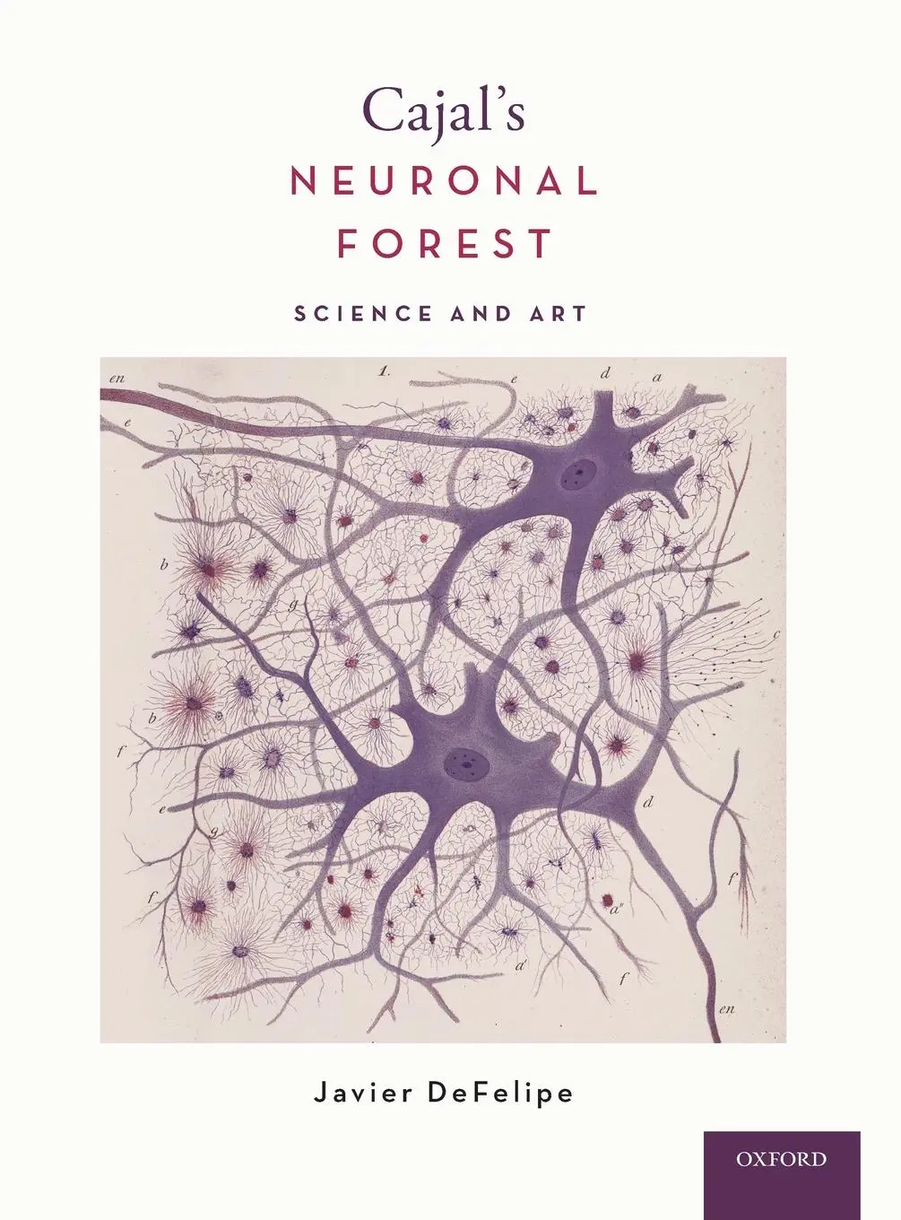 Cover: 9780190842833 | Cajal's Neuronal Forest | Science and Art | Javier Defelipe | Buch