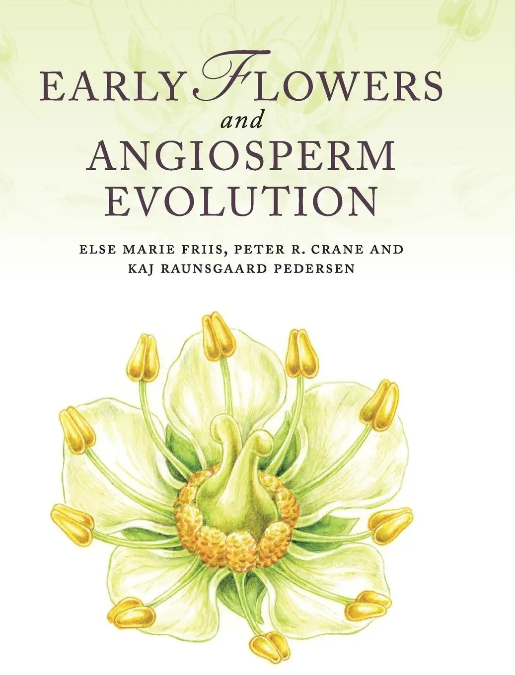 Cover: 9780521592833 | Early Flowers and Angiosperm Evolution | Else Marie Friis (u. a.)