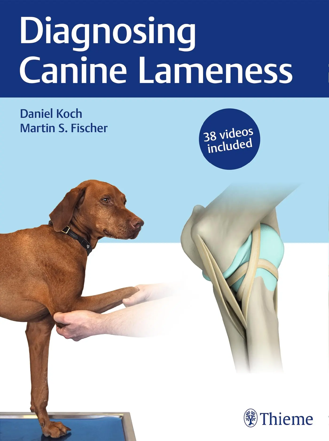 Cover: 9783132432833 | Diagnosing Canine Lameness | Daniel Koch (u. a.) | Buch | 248 S.