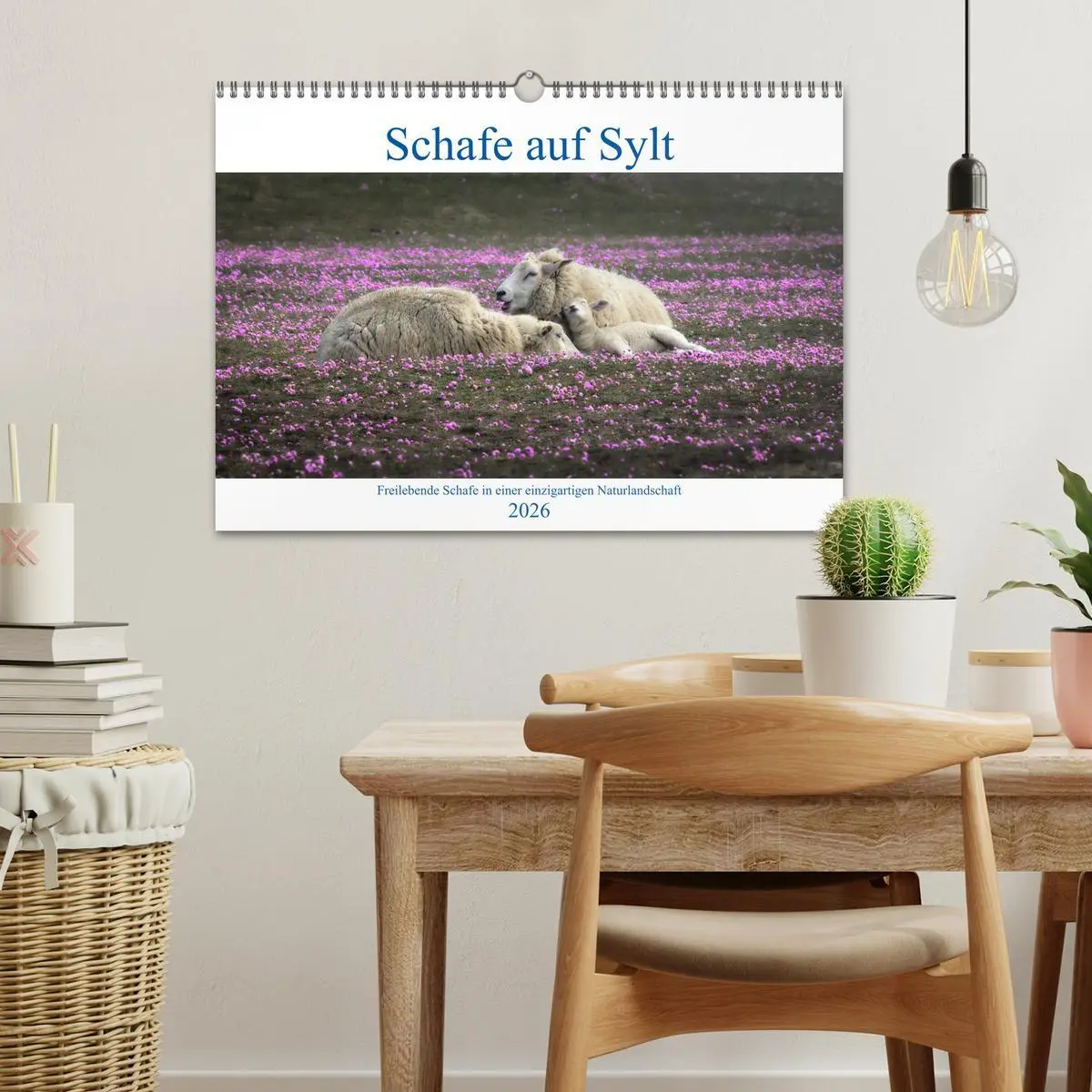 Bild: 9783457632833 | Schafe auf Sylt (Wandkalender 2026 DIN A3 quer), CALVENDO...