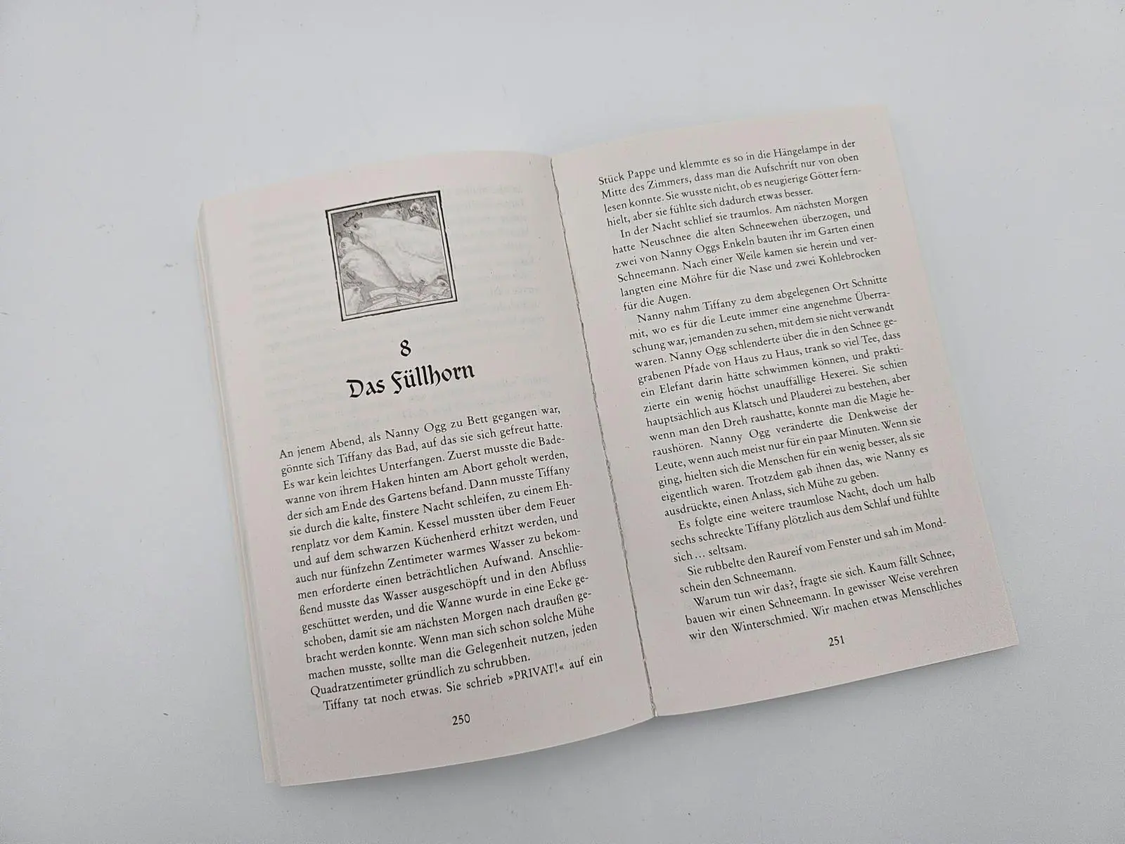 Bild: 9783492282833 | Der Winterschmied | Terry Pratchett | Taschenbuch | Tiffany Weh | 2025