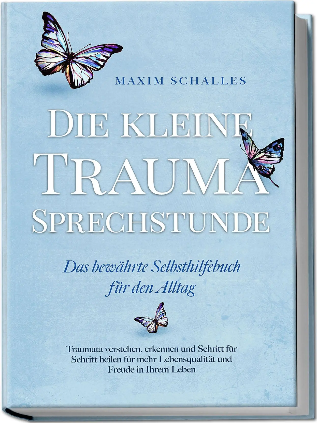 Cover: 9783757602833 | Die kleine Trauma Sprechstunde - Das bewährte Selbsthilfebuch für...