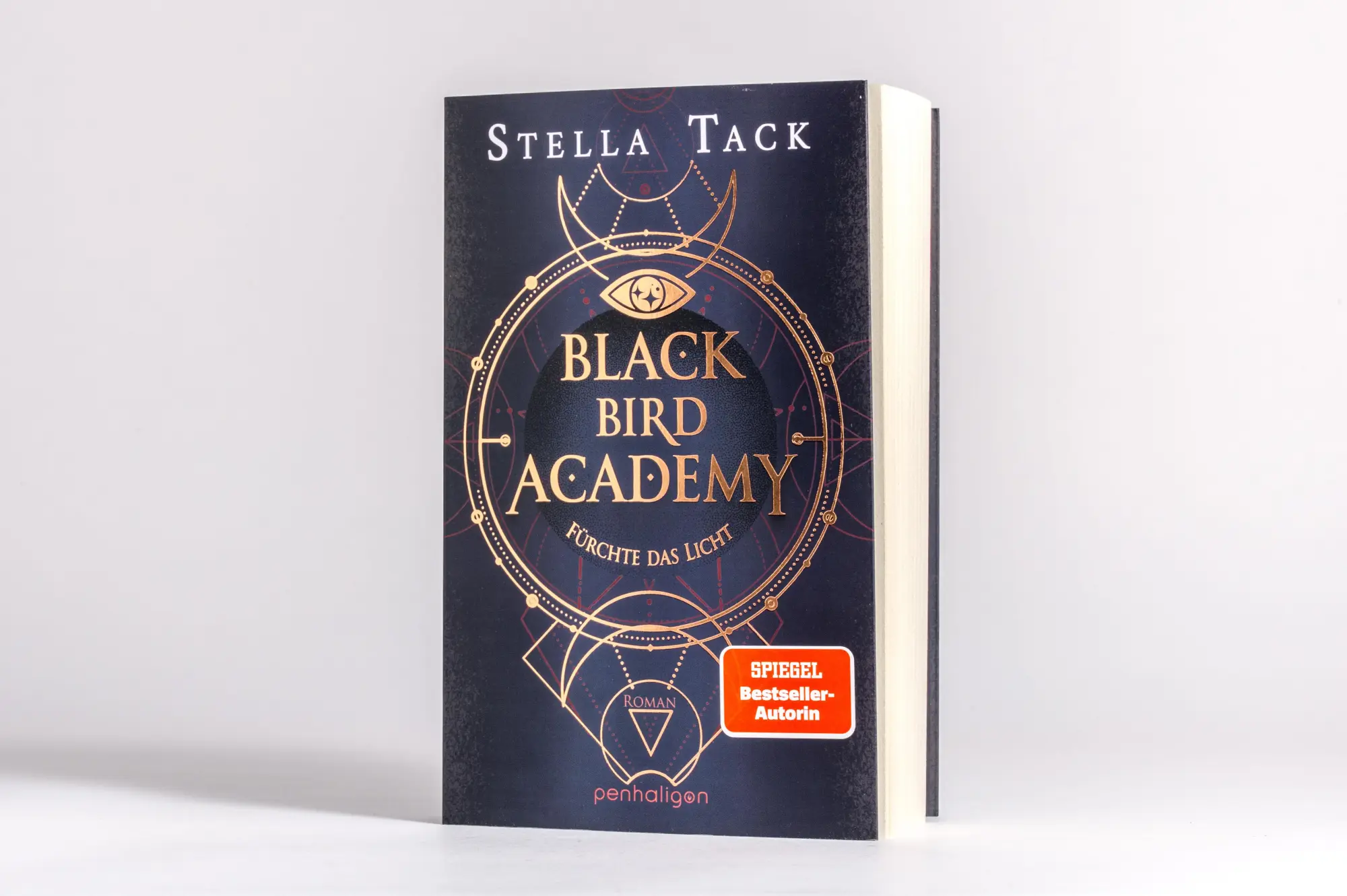 Bild: 9783764532833 | Black Bird Academy - Fürchte das Licht | Stella Tack | Taschenbuch