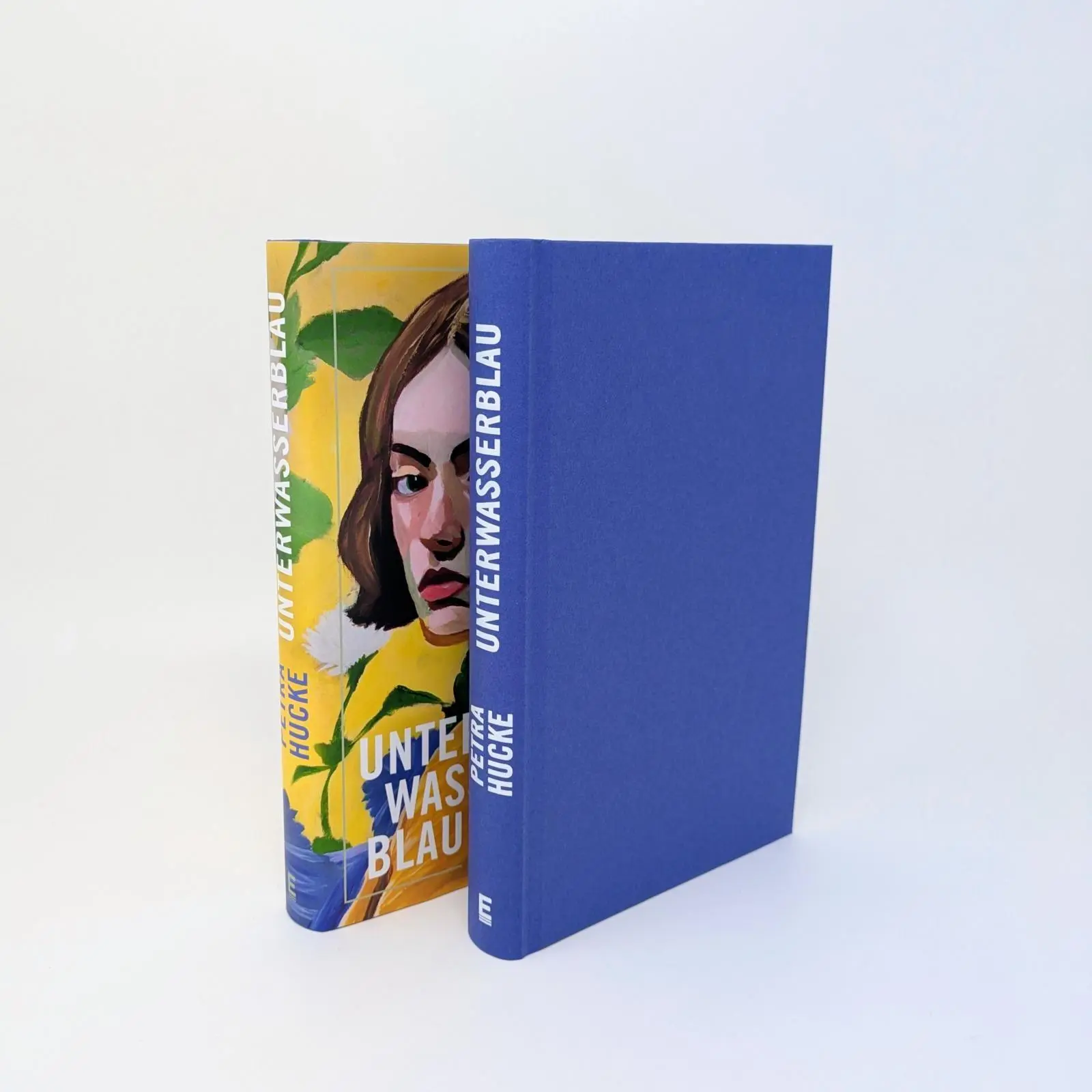 Bild: 9783961612833 | Unterwasserblau | Petra Hucke | Buch | 256 S. | Deutsch | 2026