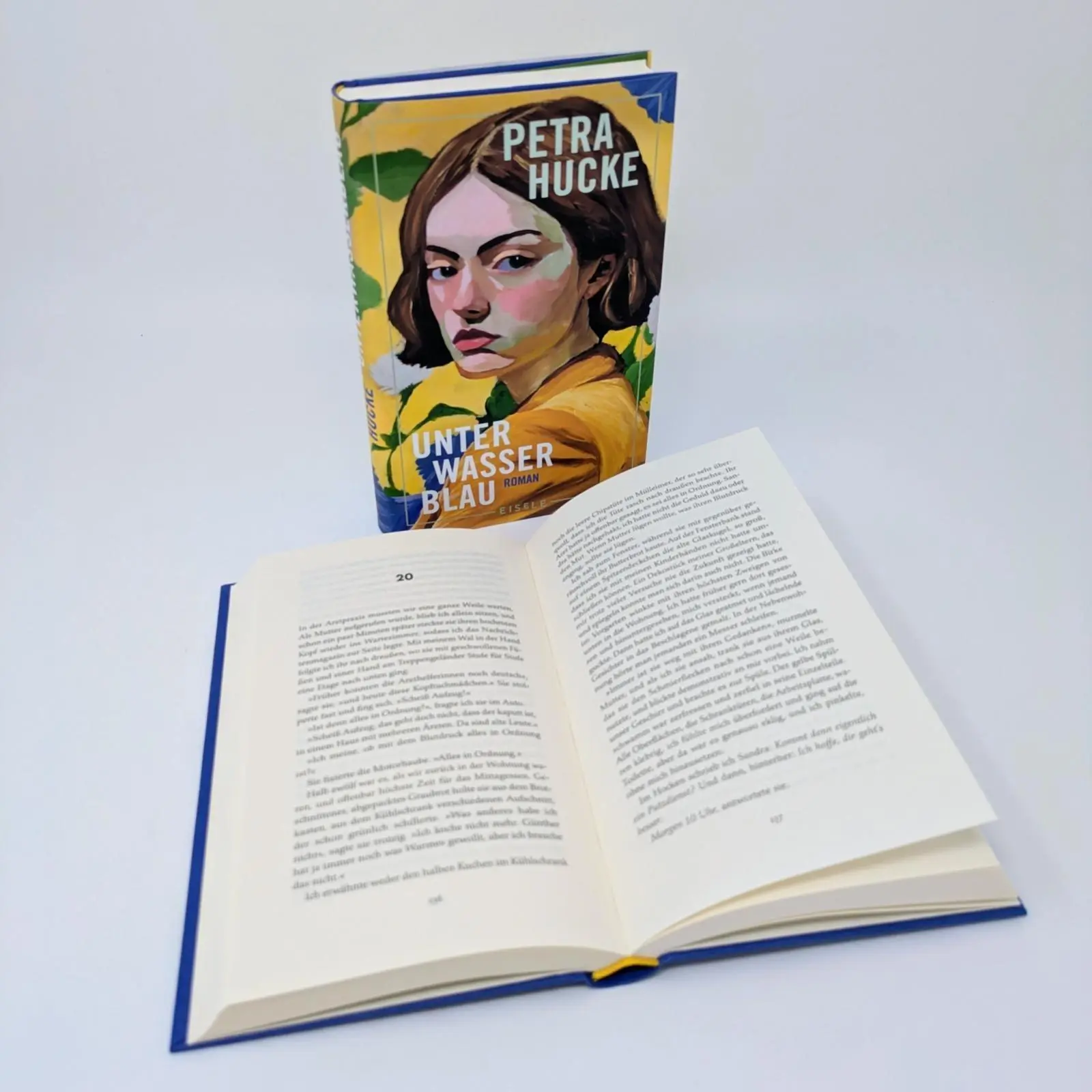 Bild: 9783961612833 | Unterwasserblau | Petra Hucke | Buch | 256 S. | Deutsch | 2026