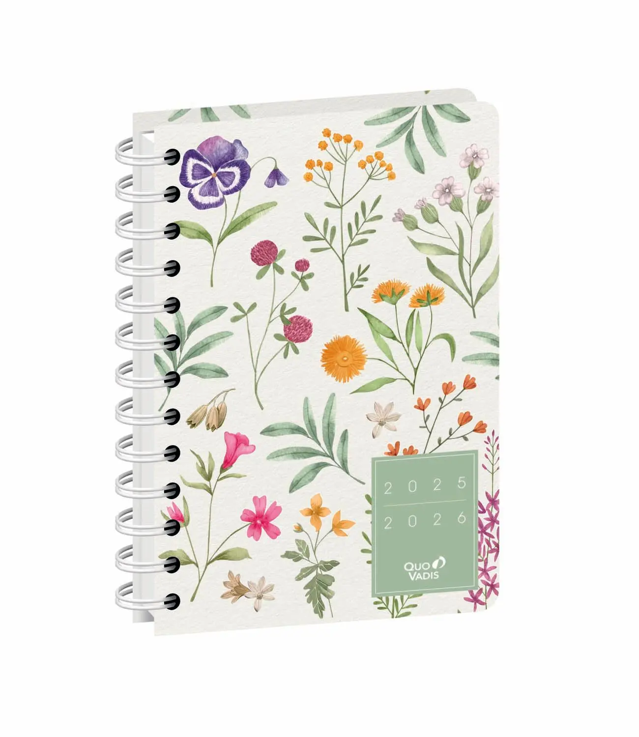 Cover: 3371010532933 | Schülerkalender FORUM Daisy weiß 2025/2026 | Schülerkalender | Vadis
