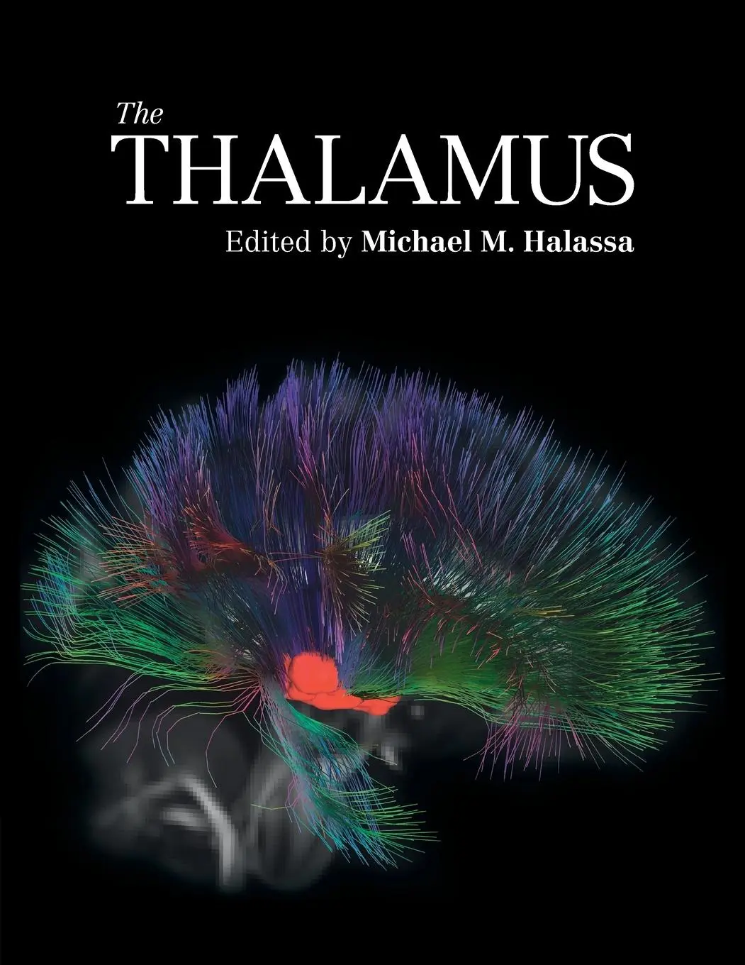 Cover: 9781108722933 | The Thalamus | Michael M. Halassa | Taschenbuch | Englisch | 2025