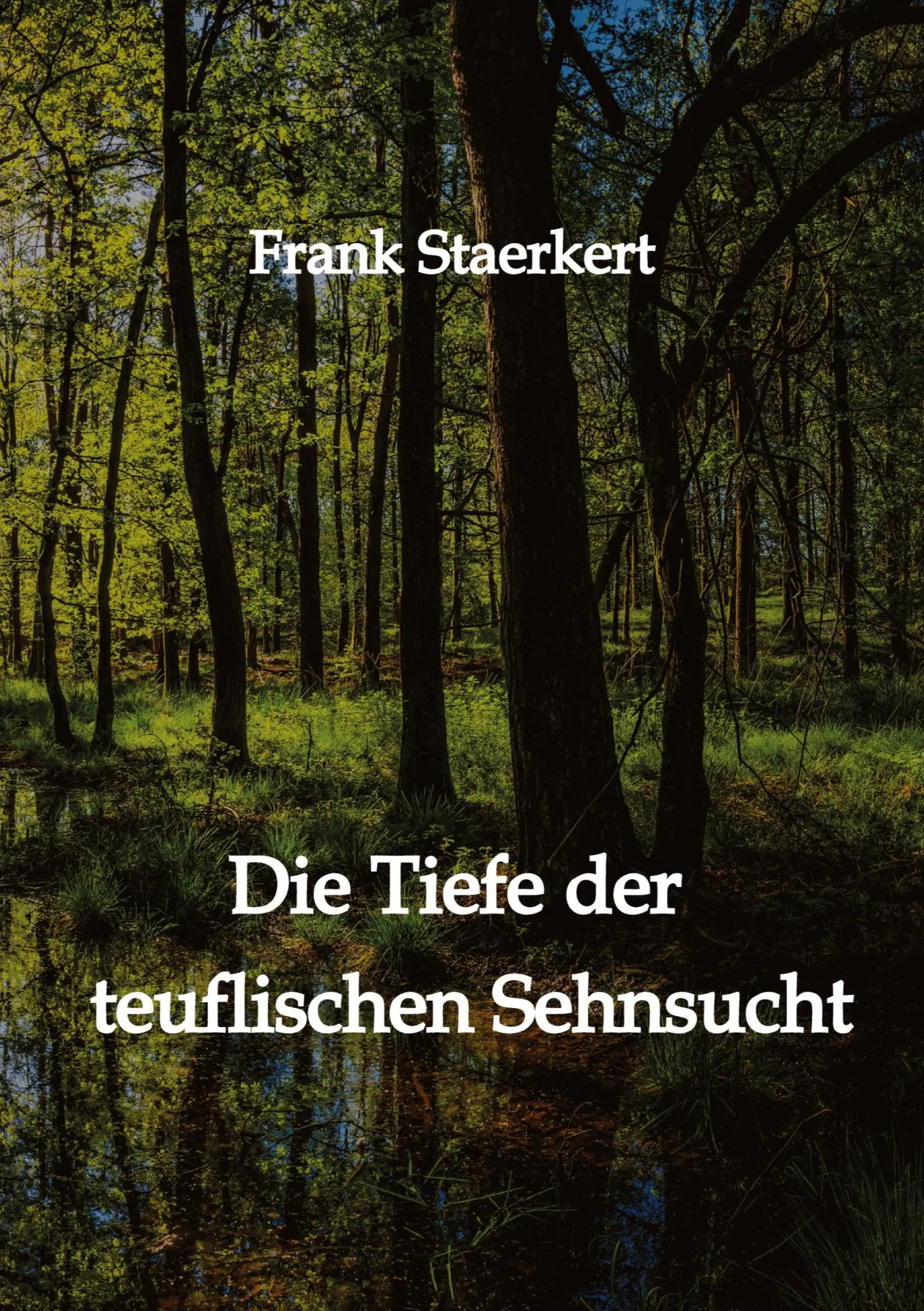 Cover: 9783347802933 | Die Tiefe der teuflischen Sehnsucht | Frank Staerkert | Taschenbuch