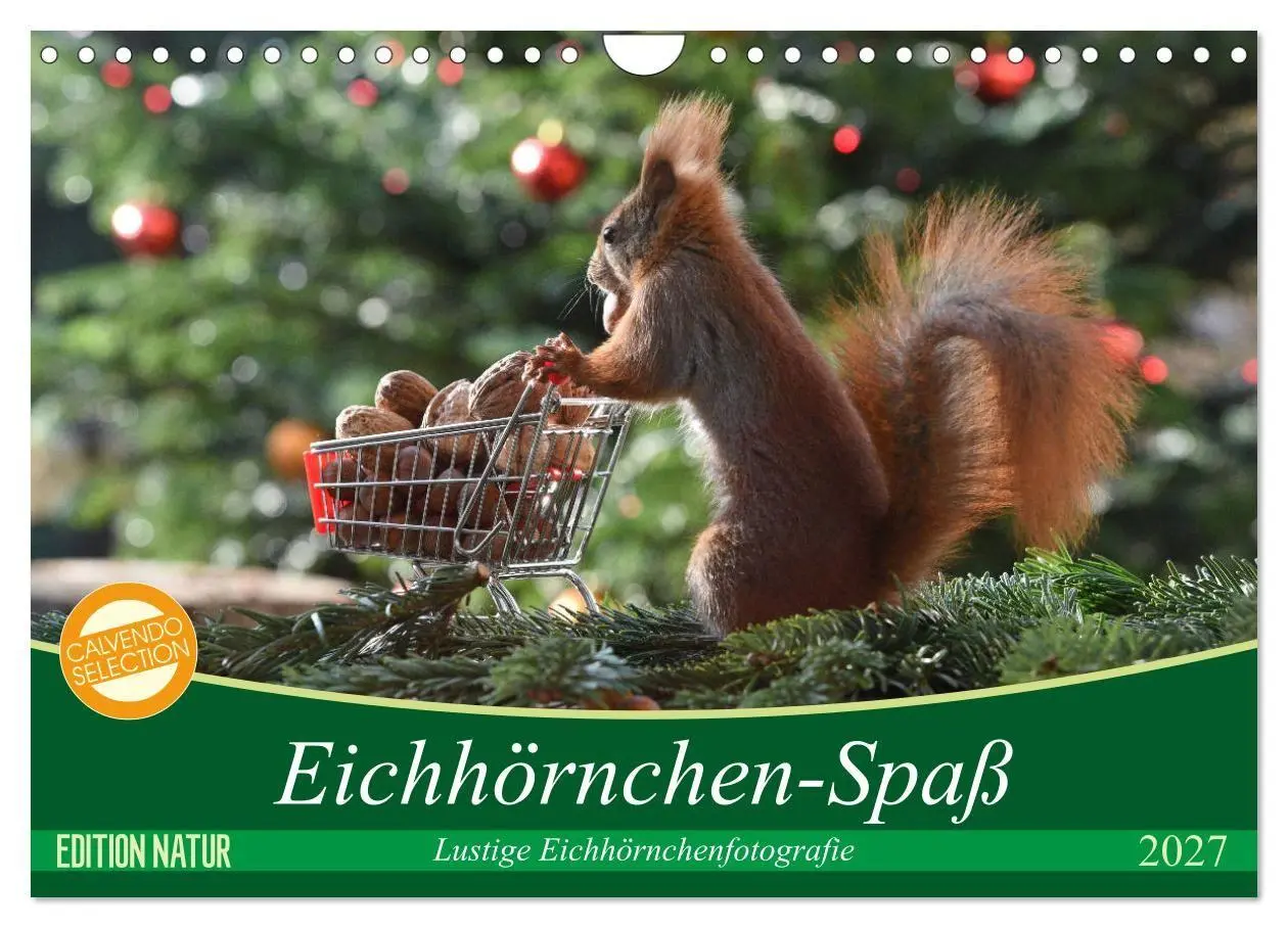 Cover: 9783569972933 | Eichhörnchen-Spaß (Wandkalender 2027 DIN A4 quer), CALVENDO...