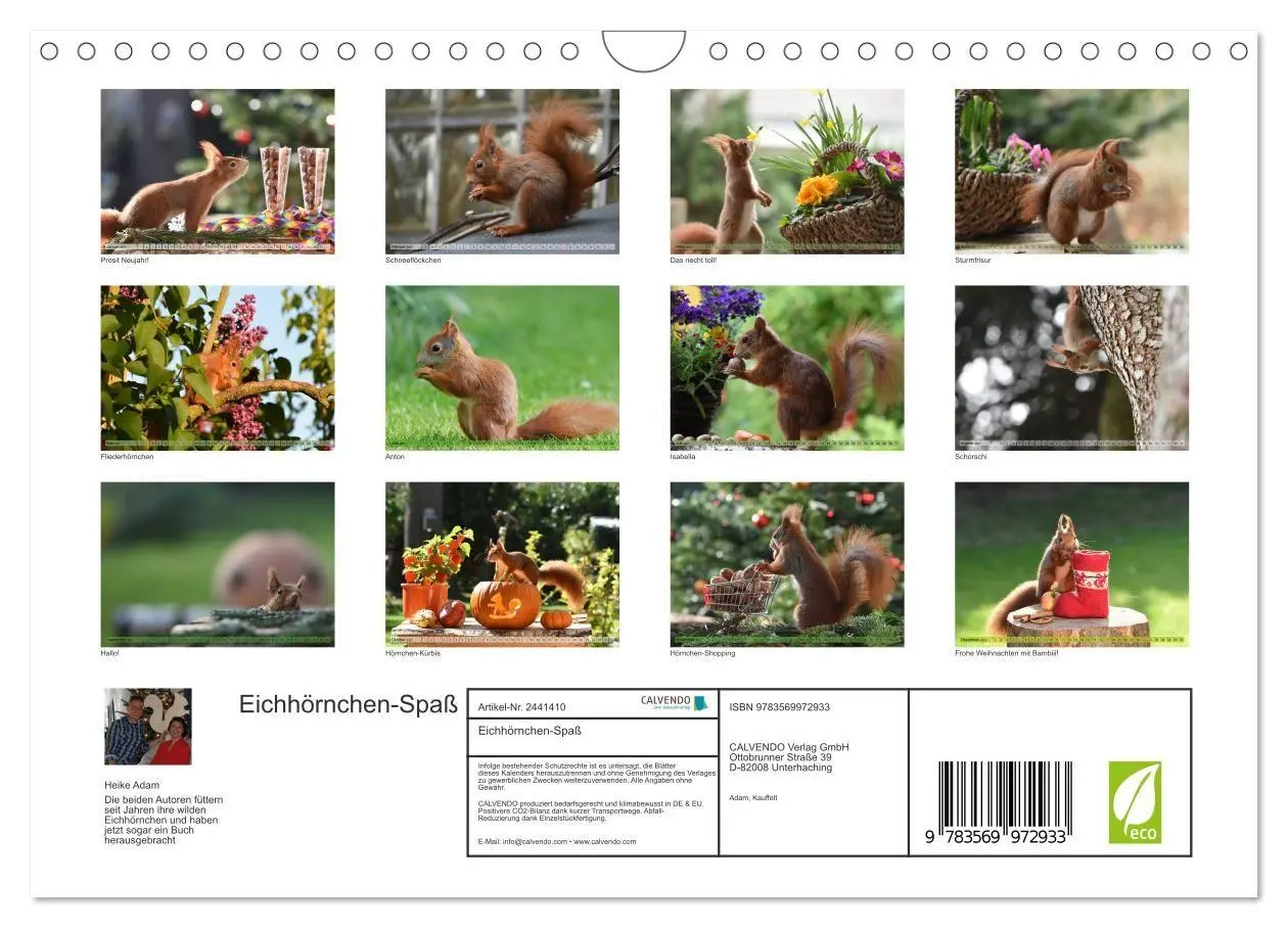 Bild: 9783569972933 | Eichhörnchen-Spaß (Wandkalender 2027 DIN A4 quer), CALVENDO...