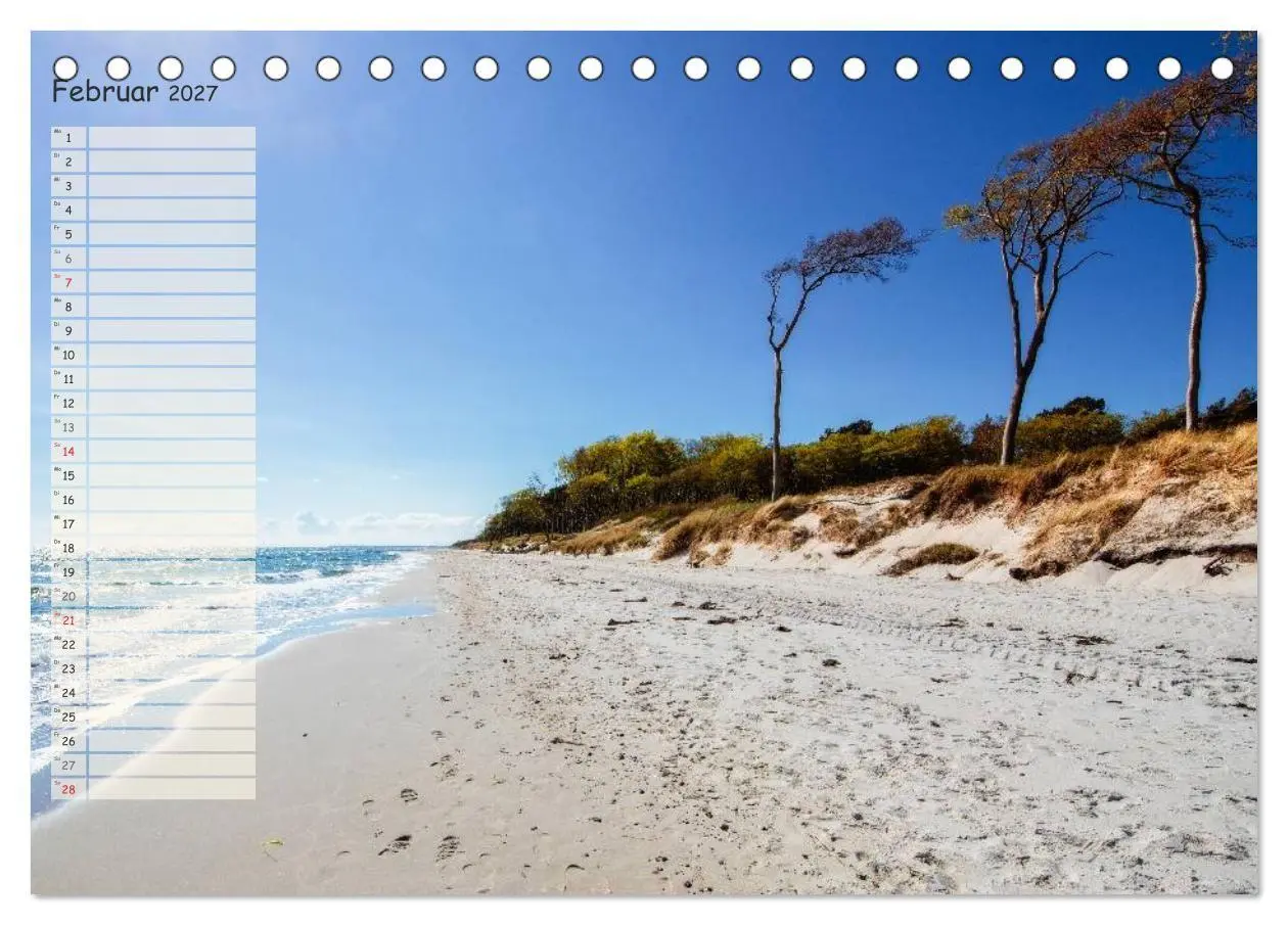 Bild: 9783594002933 | Lichtspiele auf der Halbinsel Darß (Tischkalender 2027 DIN A5...