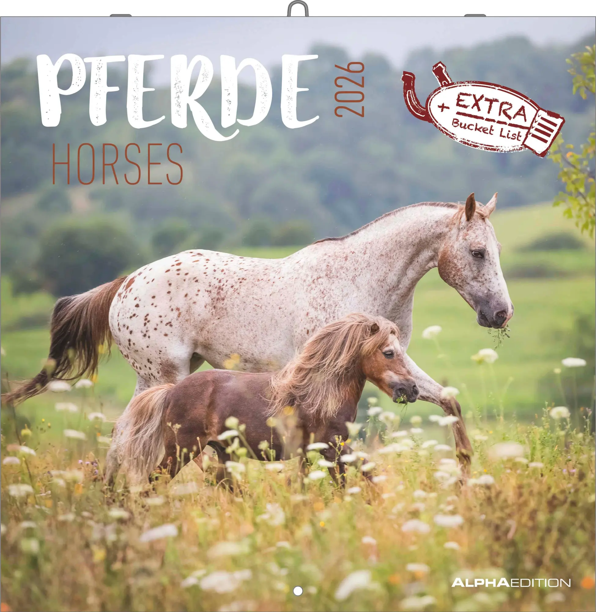 Cover: 4069095003033 | Pferde 2026 - Broschürenkalender 30x30 cm (30x60 geöffnet) -...