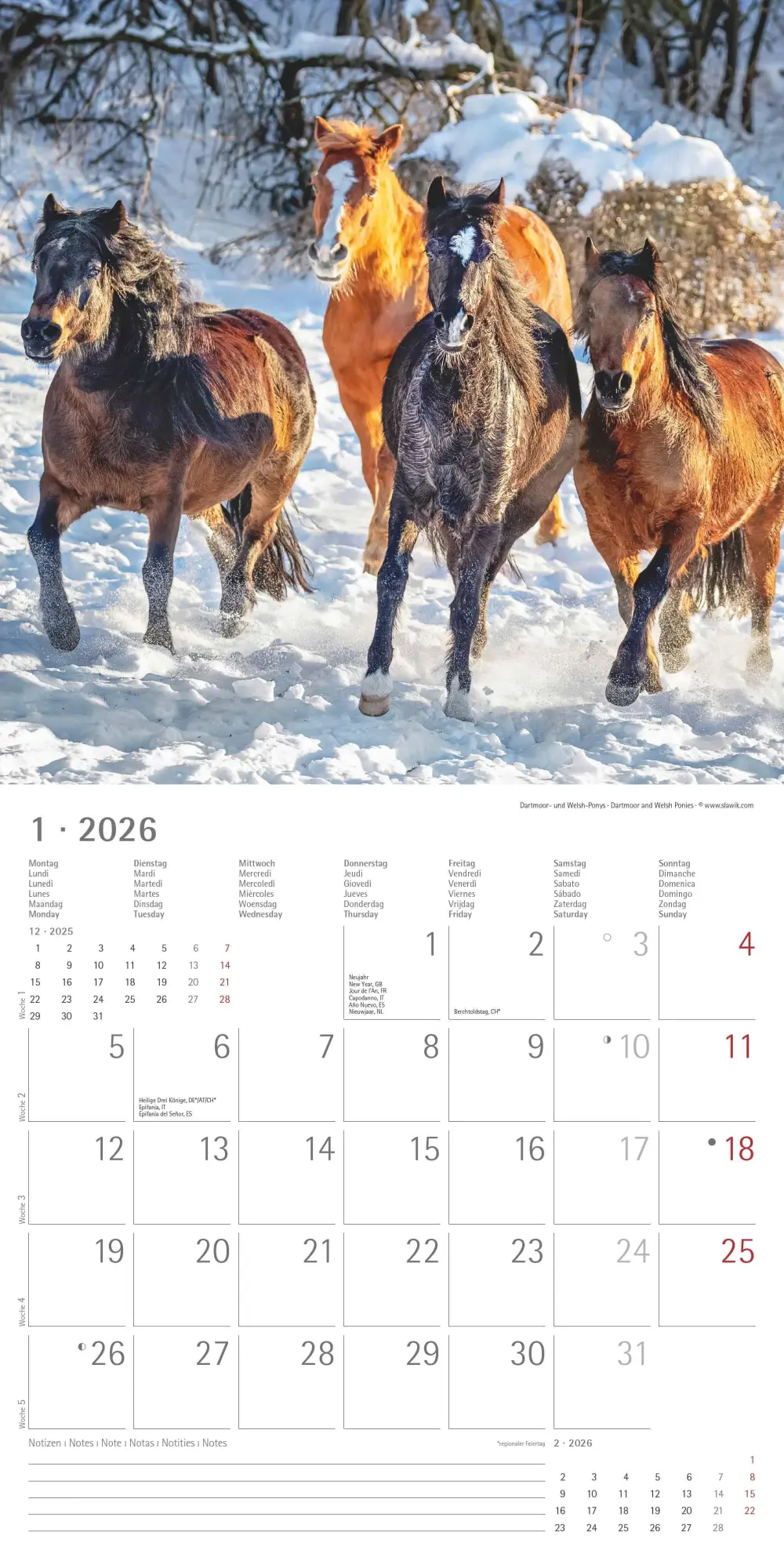 Bild: 4069095003033 | Pferde 2026 - Broschürenkalender 30x30 cm (30x60 geöffnet) -...