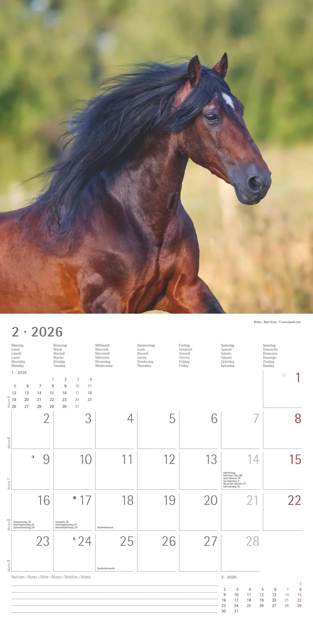Bild: 4069095003033 | Pferde 2026 - Broschürenkalender 30x30 cm (30x60 geöffnet) -...