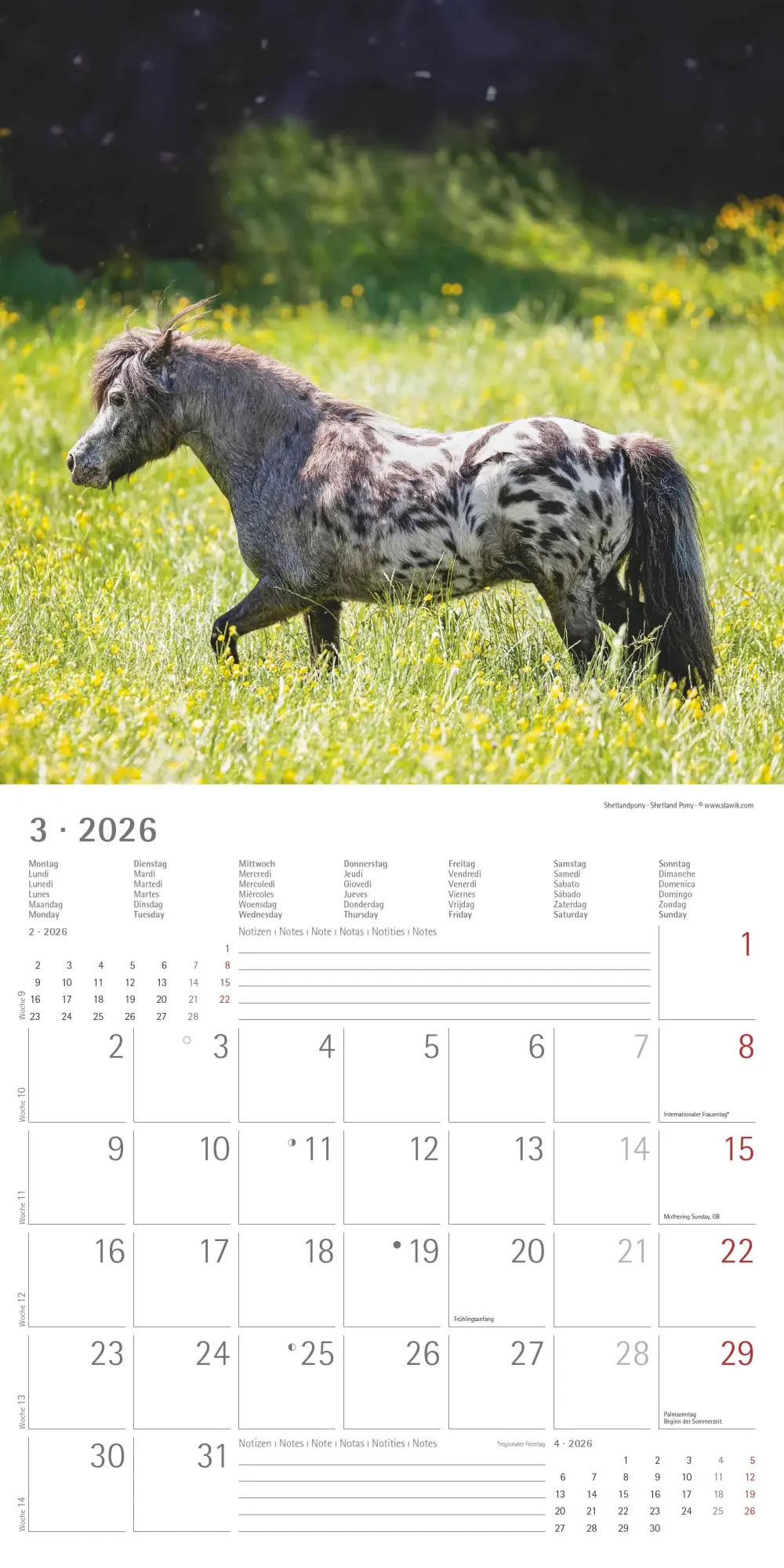 Bild: 4069095003033 | Pferde 2026 - Broschürenkalender 30x30 cm (30x60 geöffnet) -...