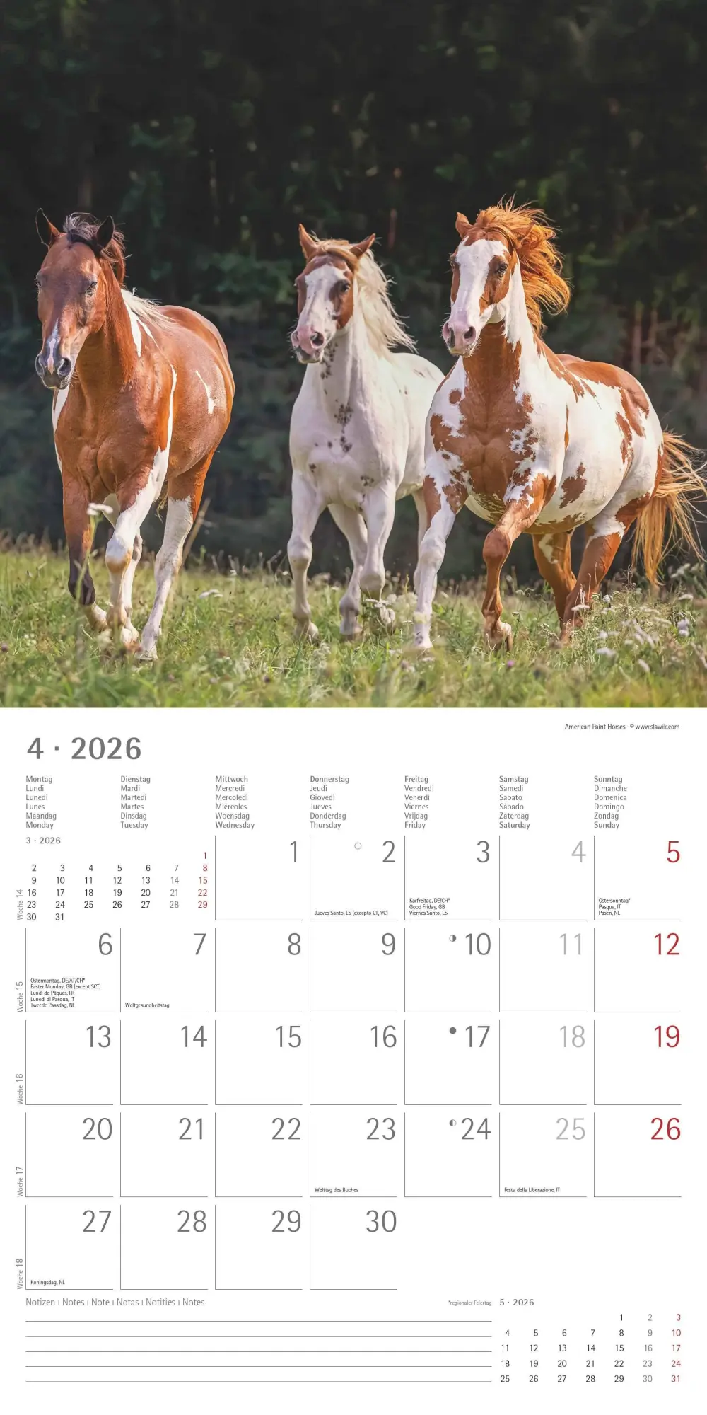 Bild: 4069095003033 | Pferde 2026 - Broschürenkalender 30x30 cm (30x60 geöffnet) -...