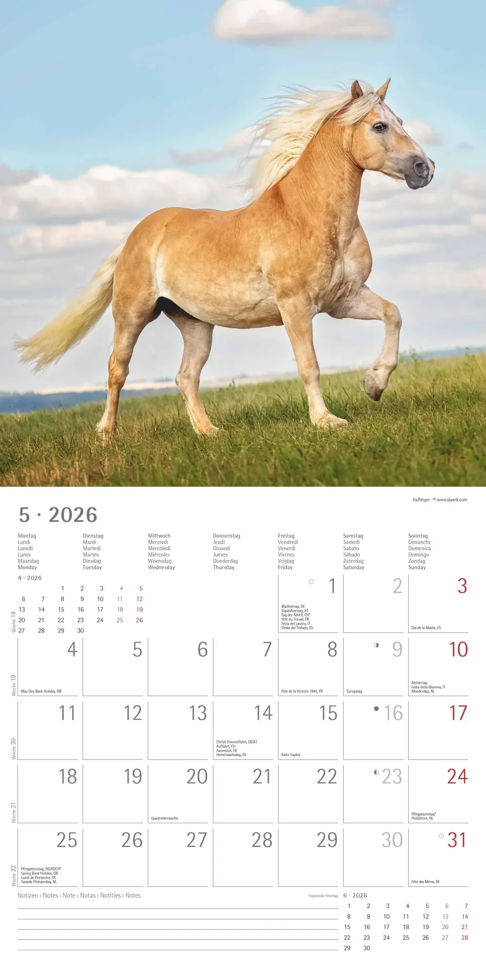 Bild: 4069095003033 | Pferde 2026 - Broschürenkalender 30x30 cm (30x60 geöffnet) -...