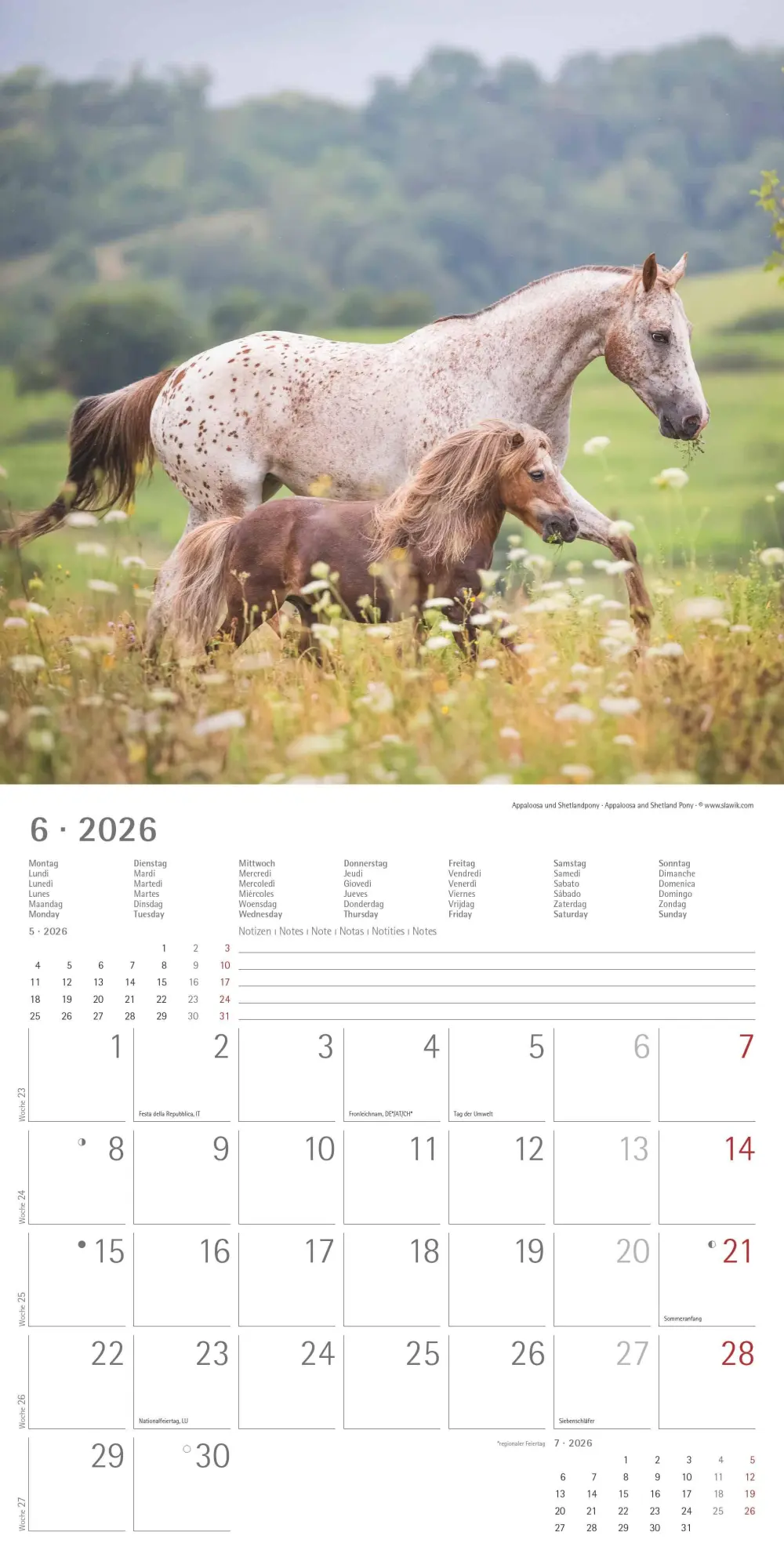 Bild: 4069095003033 | Pferde 2026 - Broschürenkalender 30x30 cm (30x60 geöffnet) -...