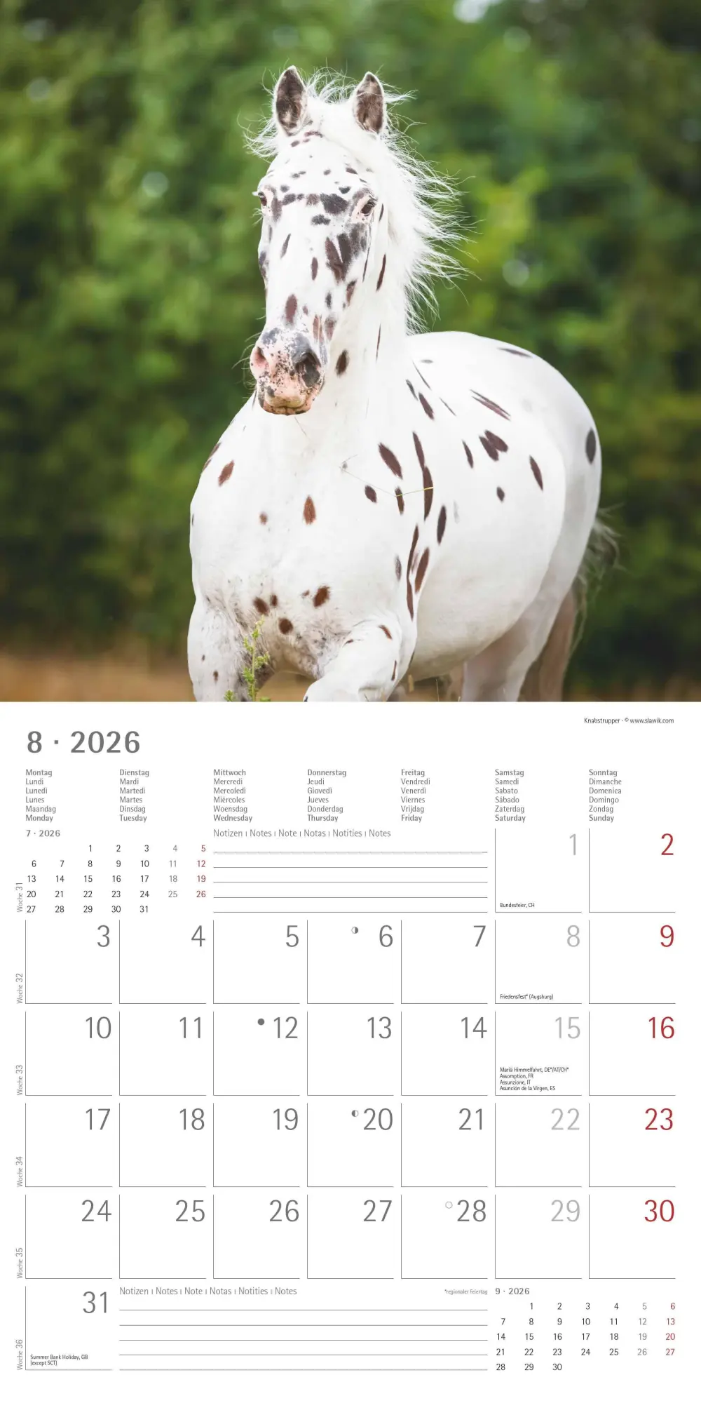 Bild: 4069095003033 | Pferde 2026 - Broschürenkalender 30x30 cm (30x60 geöffnet) -...