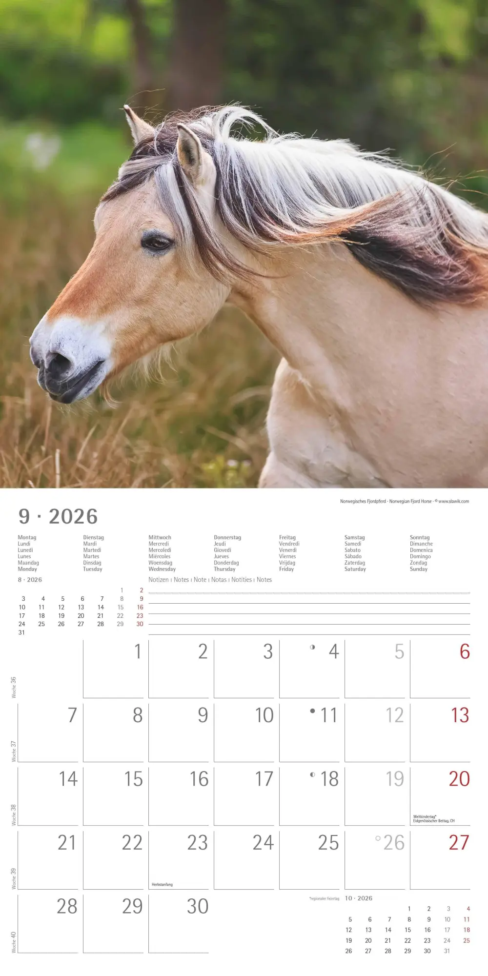 Bild: 4069095003033 | Pferde 2026 - Broschürenkalender 30x30 cm (30x60 geöffnet) -...