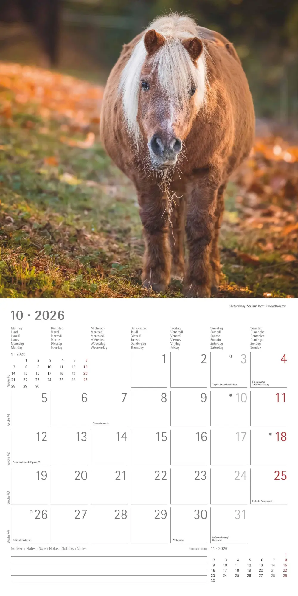 Bild: 4069095003033 | Pferde 2026 - Broschürenkalender 30x30 cm (30x60 geöffnet) -...