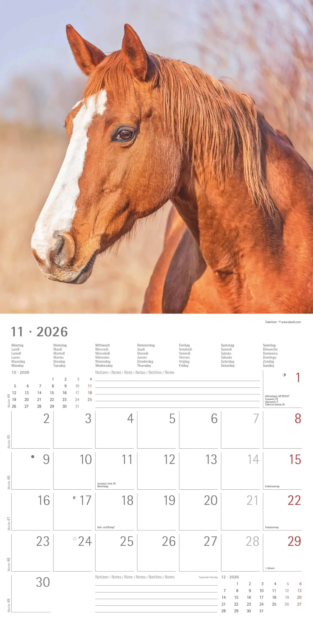Bild: 4069095003033 | Pferde 2026 - Broschürenkalender 30x30 cm (30x60 geöffnet) -...