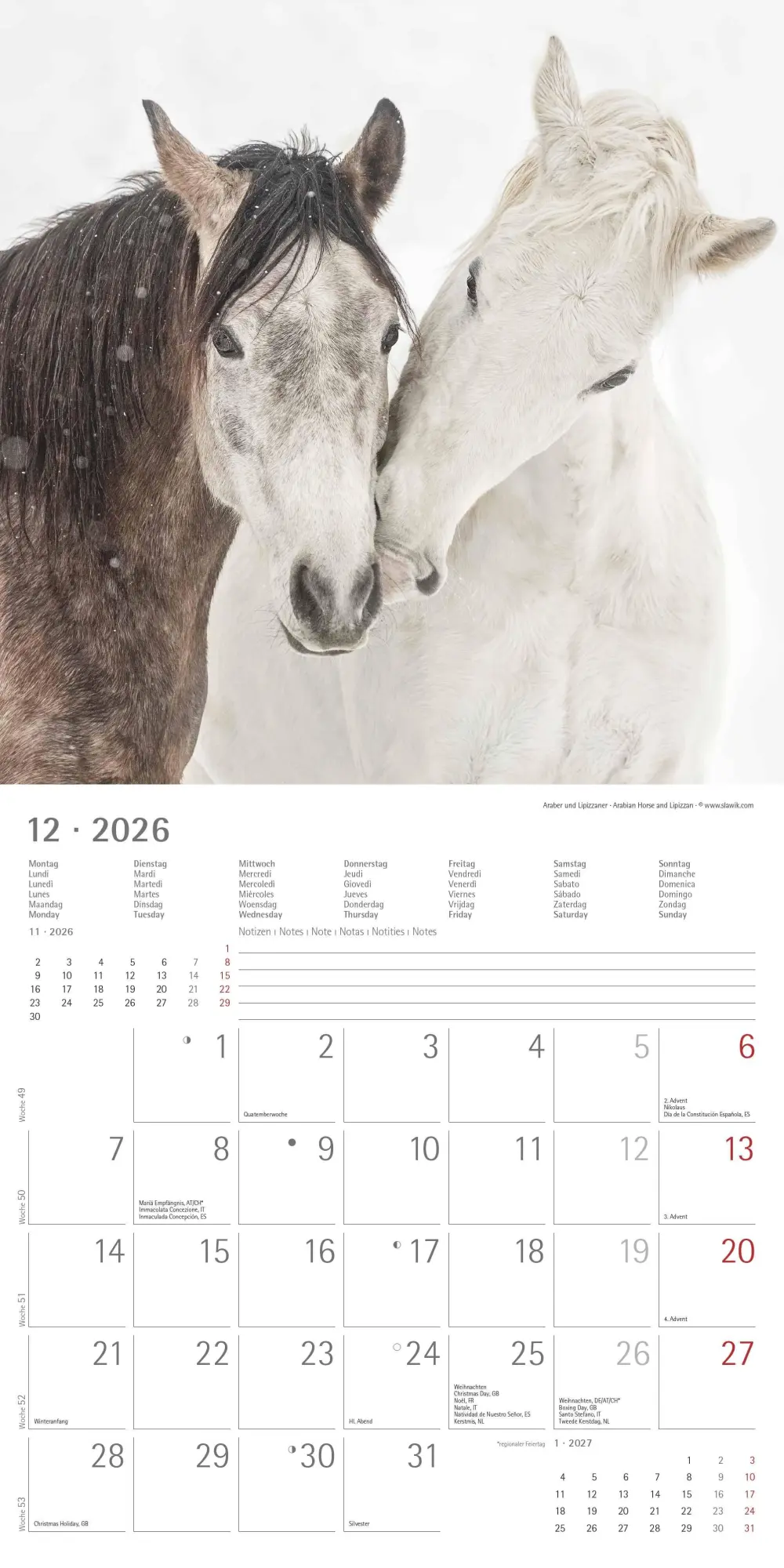 Bild: 4069095003033 | Pferde 2026 - Broschürenkalender 30x30 cm (30x60 geöffnet) -...
