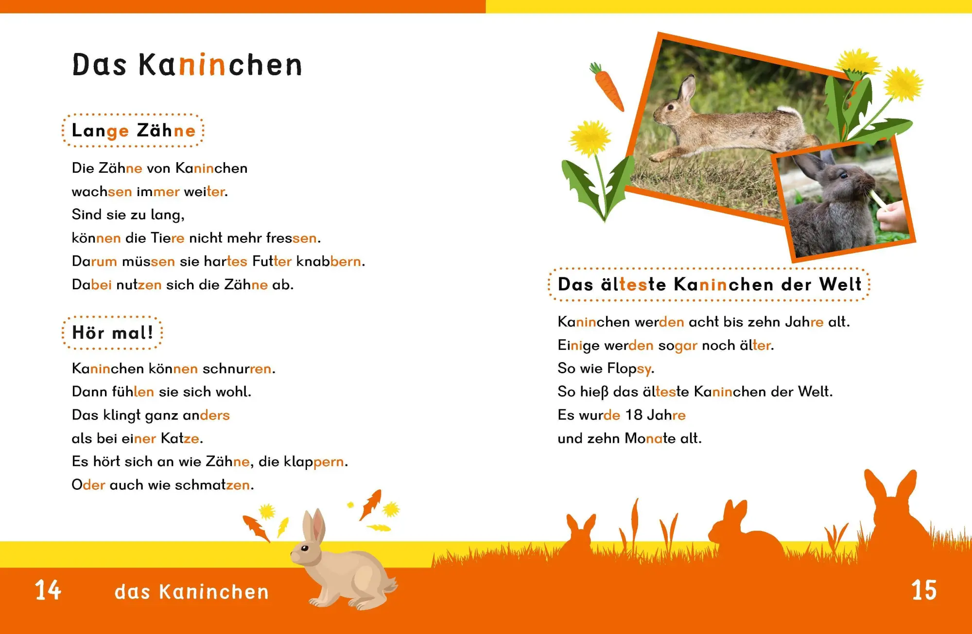 Bild: 9783411733033 | Dein Lesestart: Weißt du schon alles über Haustiere? Ab 1. Klasse
