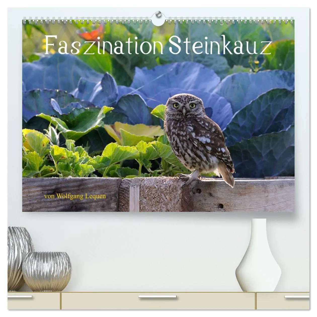Cover: 9783457443033 | Faszination Steinkauz (hochwertiger Premium Wandkalender 2026 DIN...