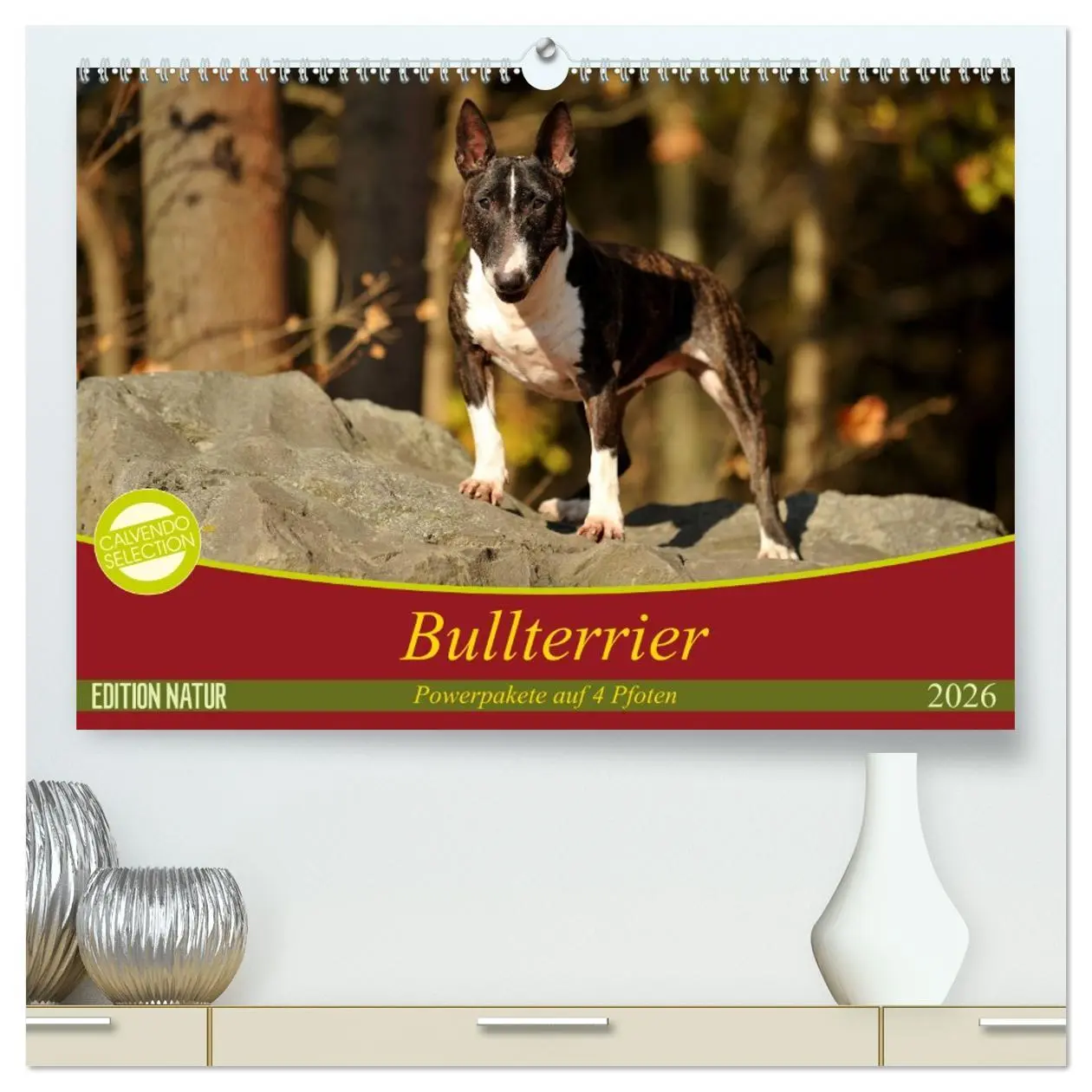 Cover: 9783457753033 | Bullterrier, Powerpakete auf 4 Pfoten (hochwertiger Premium...
