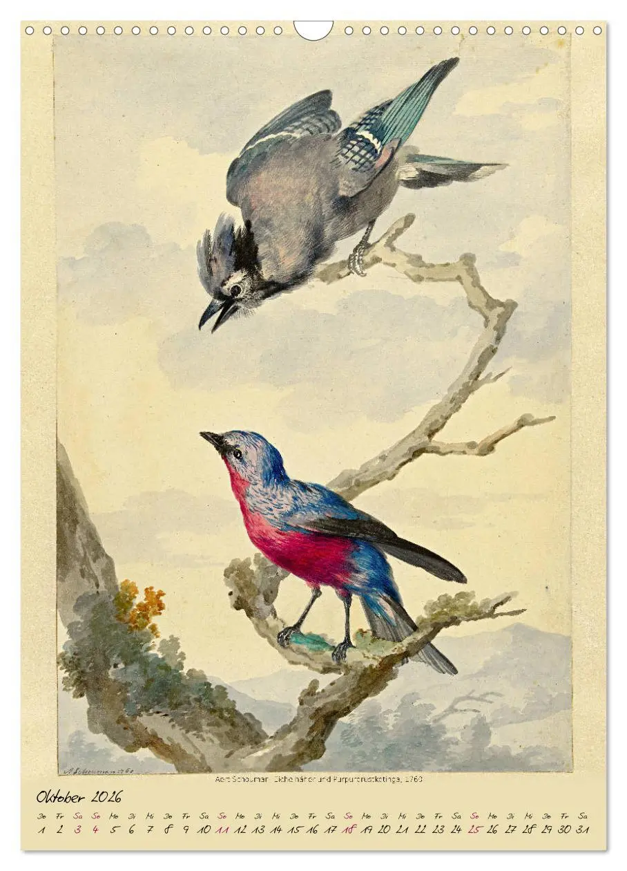 Bild: 9783516393033 | Aert Schouman. VÖGEL (Wandkalender 2026 DIN A3 hoch), CALVENDO...