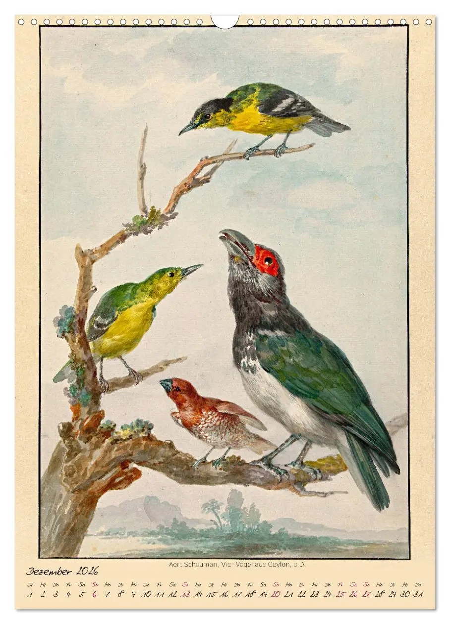 Bild: 9783516393033 | Aert Schouman. VÖGEL (Wandkalender 2026 DIN A3 hoch), CALVENDO...