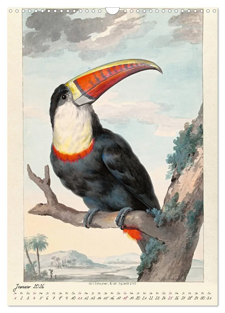 Bild: 9783516393033 | Aert Schouman. VÖGEL (Wandkalender 2026 DIN A3 hoch), CALVENDO...