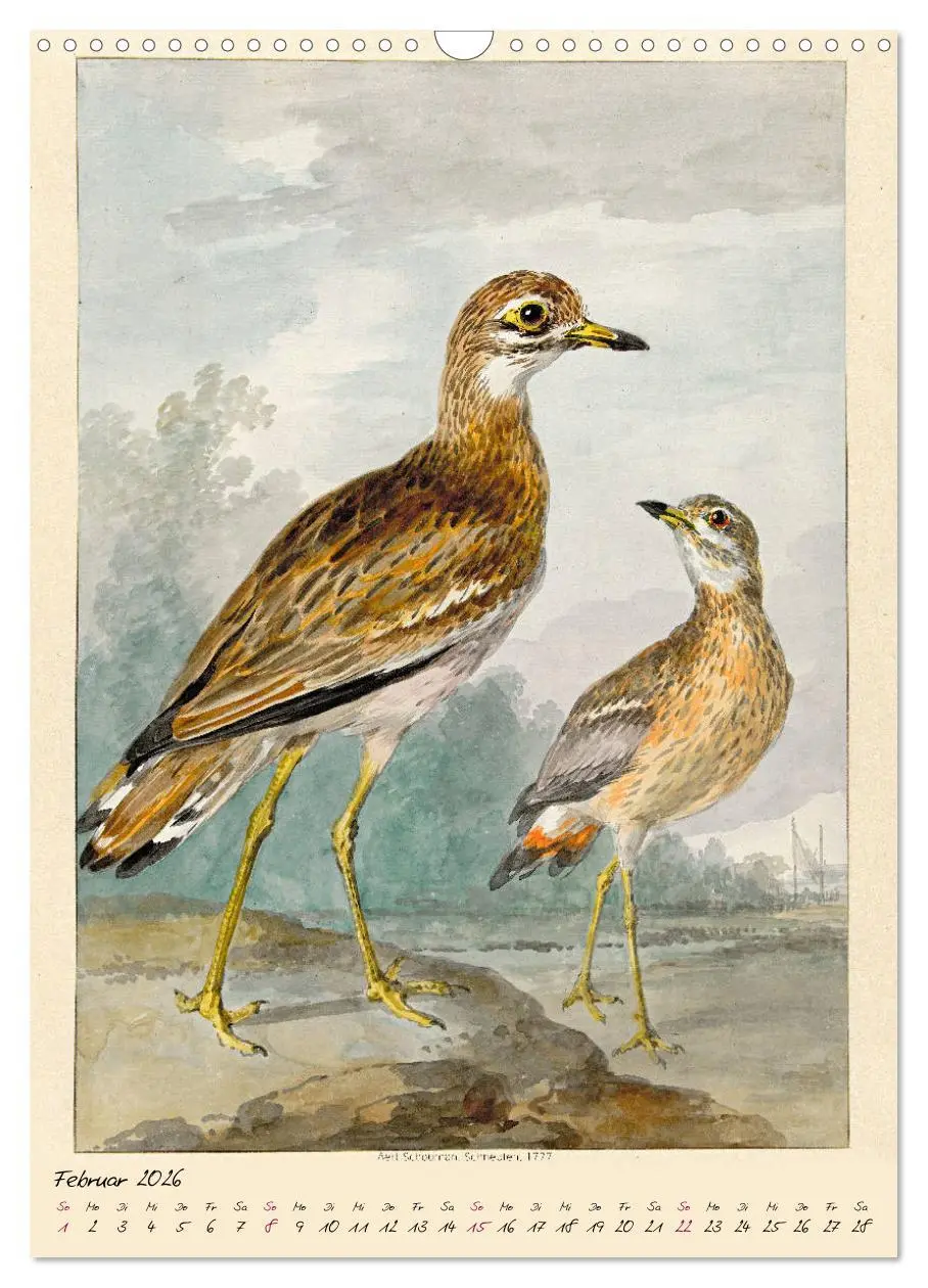 Bild: 9783516393033 | Aert Schouman. VÖGEL (Wandkalender 2026 DIN A3 hoch), CALVENDO...