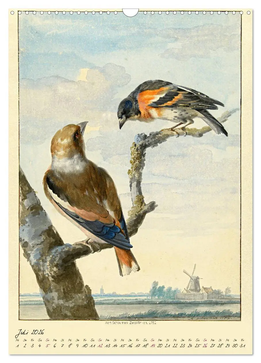 Bild: 9783516393033 | Aert Schouman. VÖGEL (Wandkalender 2026 DIN A3 hoch), CALVENDO...