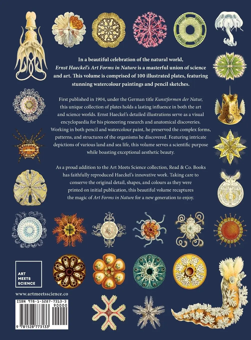 Rückseite: 9781528773133 | Ernst Haeckel's Art Forms in Nature | Ernst Haeckel | Buch | Englisch