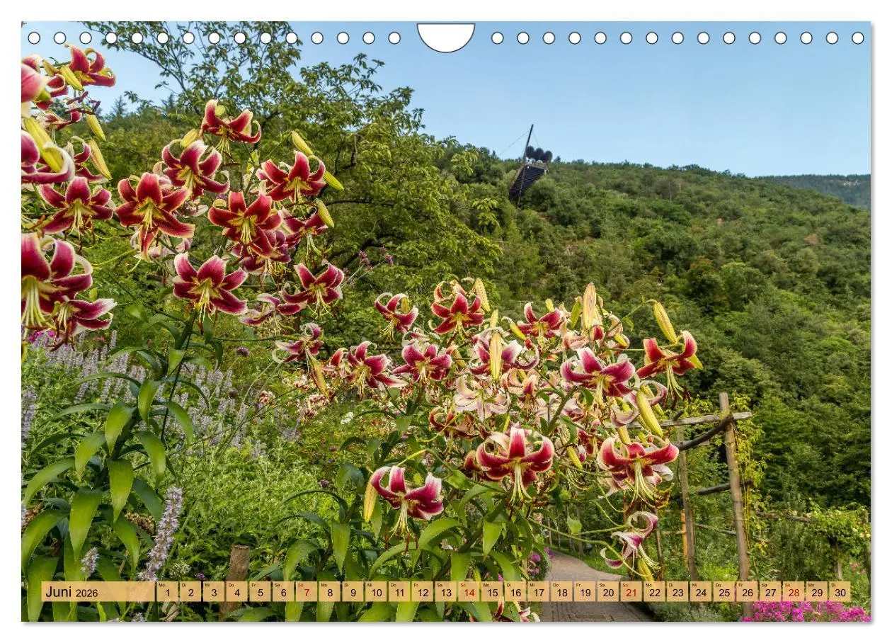 Bild: 9783457363133 | Südtirol - Meraner Land (Wandkalender 2026 DIN A4 quer), CALVENDO...