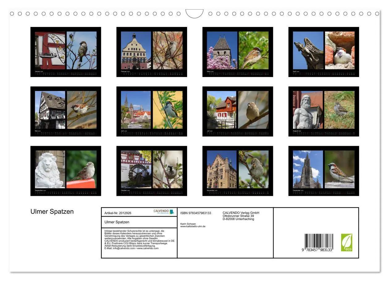 Bild: 9783457983133 | Ulmer Spatzen (Wandkalender 2026 DIN A3 quer), CALVENDO Monatskalender