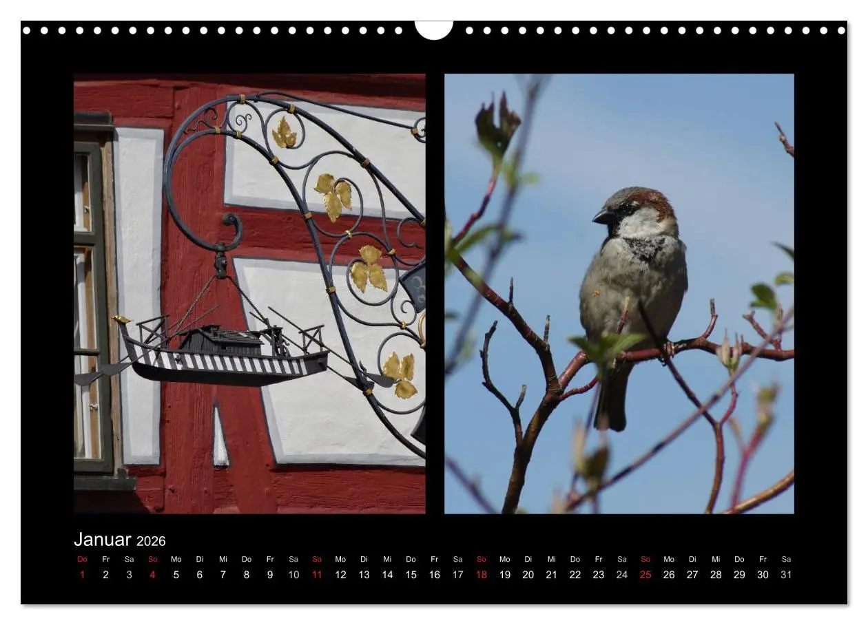 Bild: 9783457983133 | Ulmer Spatzen (Wandkalender 2026 DIN A3 quer), CALVENDO Monatskalender