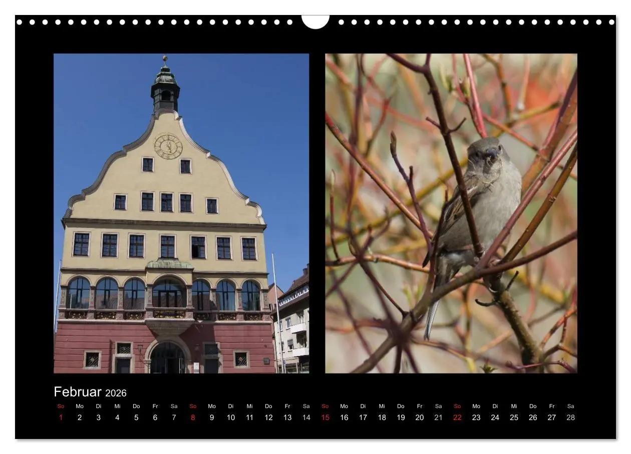 Bild: 9783457983133 | Ulmer Spatzen (Wandkalender 2026 DIN A3 quer), CALVENDO Monatskalender