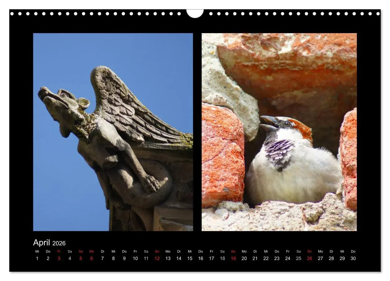 Bild: 9783457983133 | Ulmer Spatzen (Wandkalender 2026 DIN A3 quer), CALVENDO Monatskalender