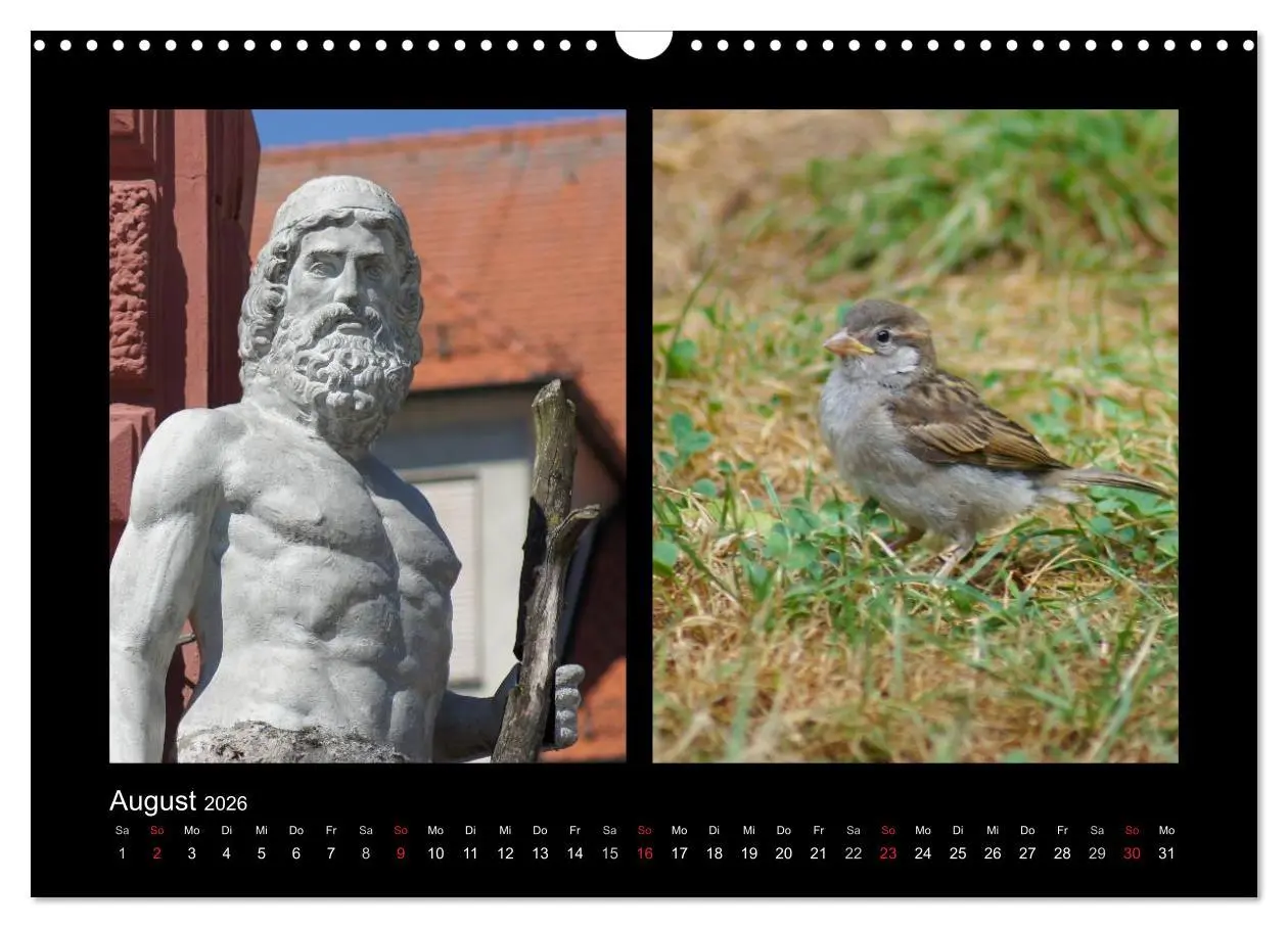 Bild: 9783457983133 | Ulmer Spatzen (Wandkalender 2026 DIN A3 quer), CALVENDO Monatskalender
